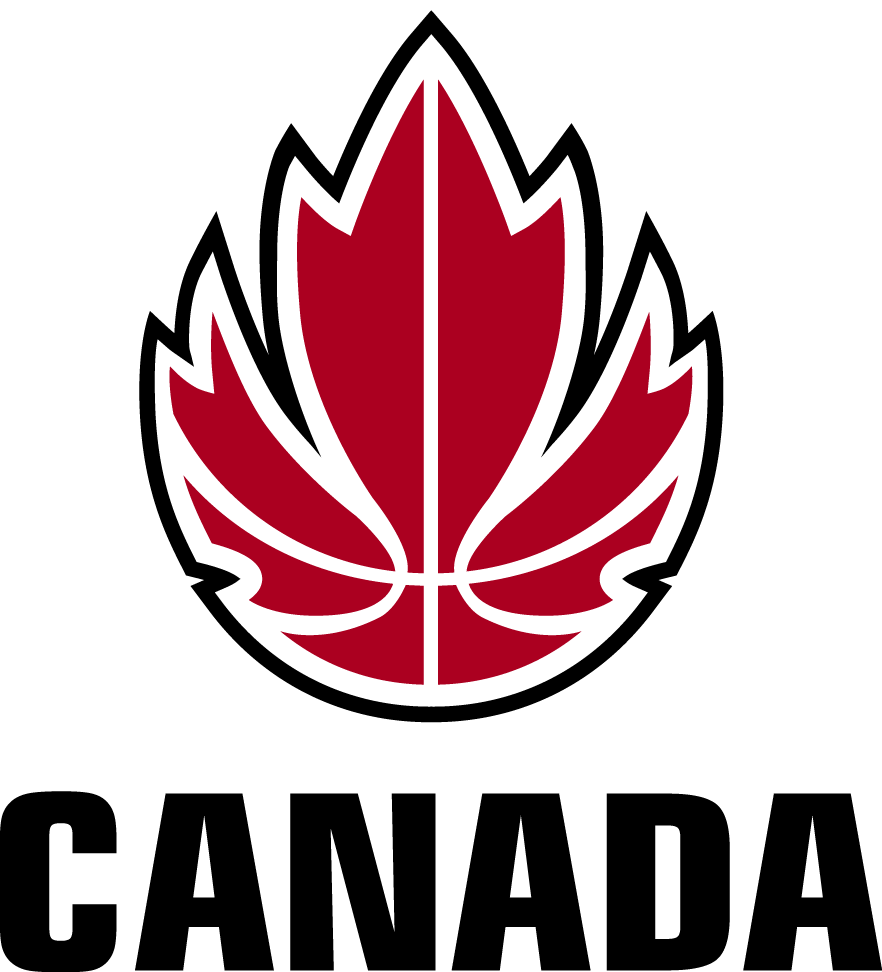 Canada 1999-2012 Primary Logo iron on transfers for T-shirts